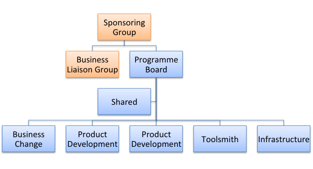 Medium Sized Programme Org Chart