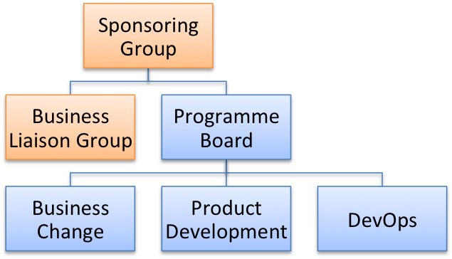 Small Programme Org Chart