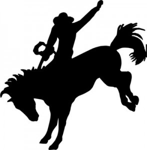 Bucking Bronco: Software Projects that Kick | It's a Delivery Thing